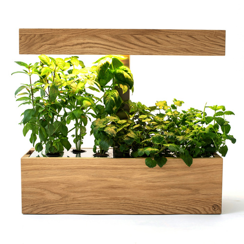 SimplePlant Smart Indoor-Garten, Holz/Ed...