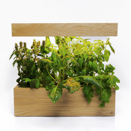 SimplePlant Smart Indoor-Garten, Holz/Ed...