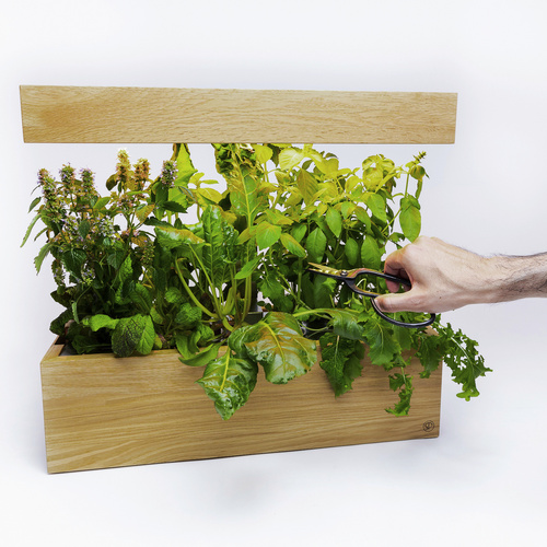 SimplePlant Smart Indoor-Garten, Holz/Ed...