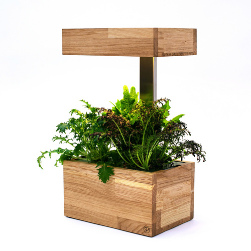 SimplePlant Smart Indoor-Garten, Holz/Edelstahl, geeignet für: Hydrokultur und Erde