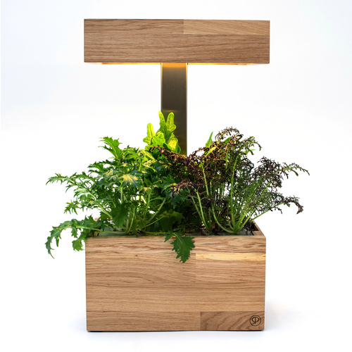 SimplePlant Smart Indoor-Garten, Holz/Ed...