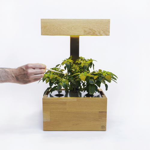 SimplePlant Smart Indoor-Garten, Holz/Ed...