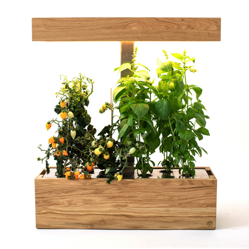 SimplePlant Smart Indoor-Garten, Holz/Ed...