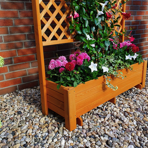 PROMADINO Rankkasten, BxH: 120 x 210 cm,...