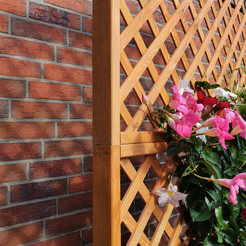 PROMADINO Rankkasten, BxH: 120 x 210 cm,...