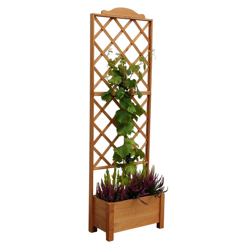 Promadino Rankkasten Botanica 69x210 cm