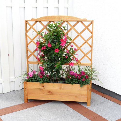 PROMADINO Rankkasten, kiefernholz - brau...