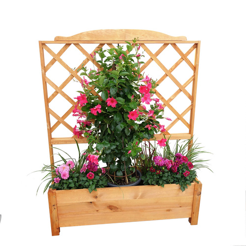 Promadino Rankkasten Botanica 110 cm x 32 cm x 140 cm