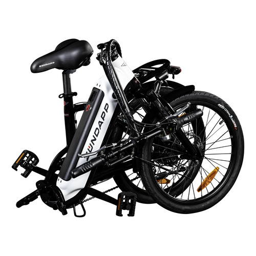 ZÜNDAPP E-Bike 20 Zoll, RH: 35 cm, 6-Gang - bunt