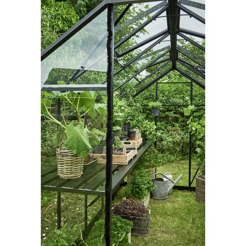 HALLS Gewächshaus »Burford«, schwarz,...