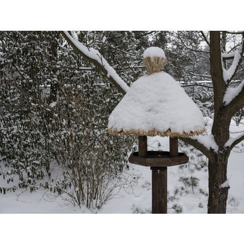 SIENA GARDEN Vogelhaus »Sylt«, BxHxT: ...