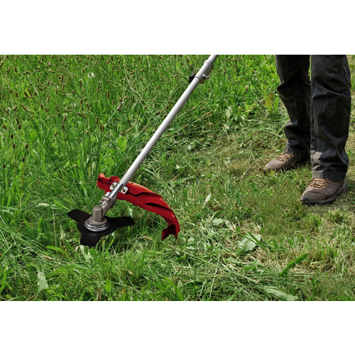 EINHELL Benzin-Sense »Einhell Classic«...