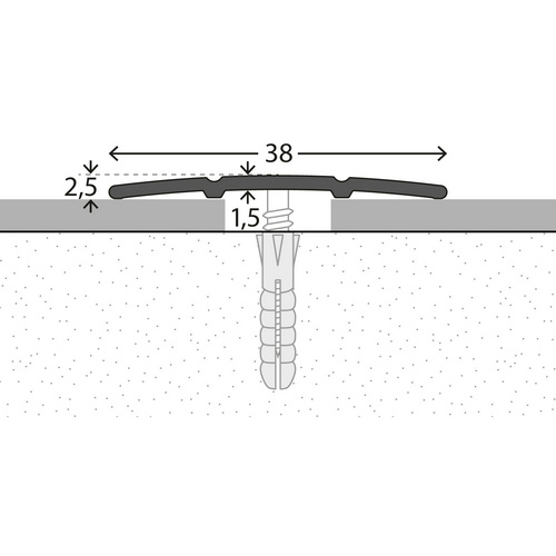 Thumbnail - CARL PRINZ Übergangsprofil, BxH: 38 x 2.5 mm, mittig versenkt gelocht - silberfarben