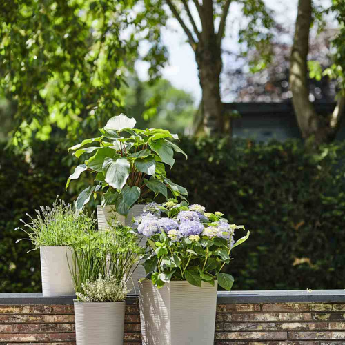 Thumbnail - SIENA GARDEN Pflanzgefäß »ECO Nizza«, Kunststoff/Holzfaser, grau, rechteckig