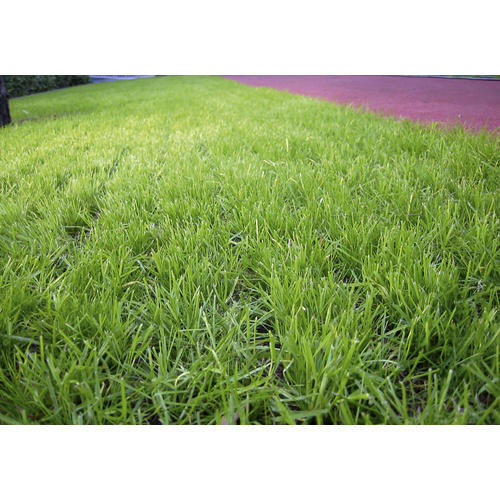 TERRASOFT Rasengitterplatte, BxHxL: 100 ... TERRASOFT Rasengitterplatte, BxHxL: 100 ...