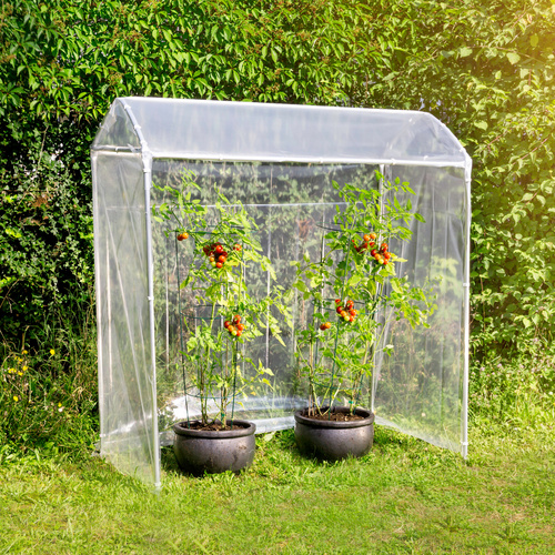 WINDHAGER Gewächshaus, für Tomaten - t...