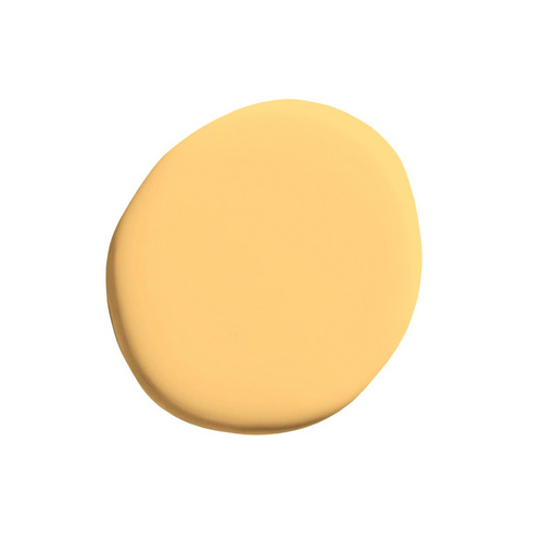 Thumbnail - ALPINA Wandfarbe »Pure Farben«,  Hafergelb, 2,5L, matt