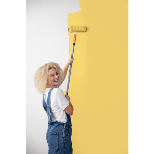 Thumbnail - ALPINA Dispersionsfarbe, 2500 ml - gelb