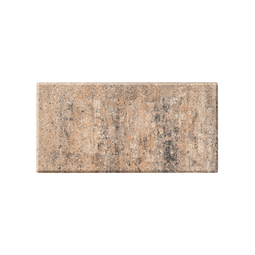 Thumbnail - Mr. GARDENER Betonplatte »Figuera«, Beton, Muschelkalk, LxBxH: 40 x 20 x 4 cm - bunt