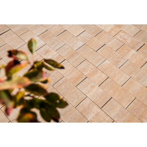 Thumbnail - Mr. GARDENER Betonplatte »Figuer«, Beton, Sandstein, LxBxH: 40 x 20 x 4 cm - gelb