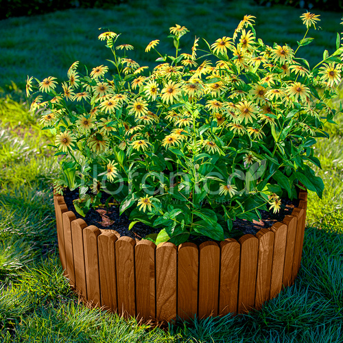 Floranica Beeteinfassung, 200 x 40 cm (B... Floranica Beeteinfassung, 200 x 40 cm (B...