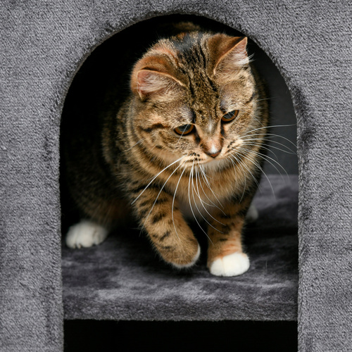 Thumbnail - PawHut Kratztonne, LxBxH: 45 x 45 x 81 cm - grau