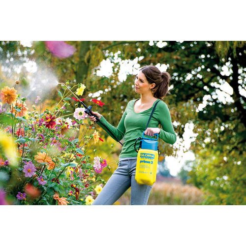 Thumbnail - GLORIA Drucksprühgerät »Prima 3«, Füllinhalt 3 Liter, max. Betriebsdruck: 3 bar - gelb