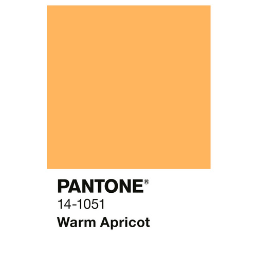 Thumbnail - ALPINA Wandfarbe »PANTONE«, Warm Apricot, matt, 1 l - orange