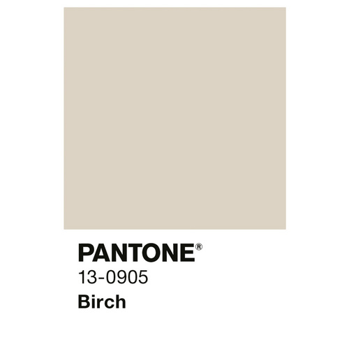Thumbnail - ALPINA Wandfarbe »PANTONE«, Birch, matt, 2,5 l - beige