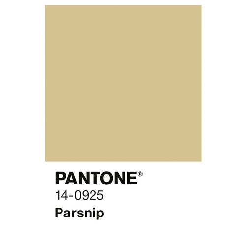 Thumbnail - ALPINA Wandfarbe »PANTONE«, Parsnip, matt, 2,5 l - gelb