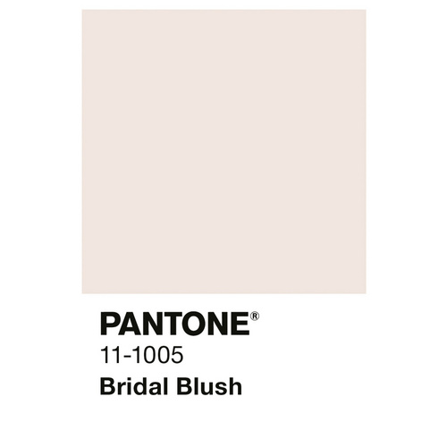 Thumbnail - ALPINA Wandfarbe »PANTONE«, Bridal Blush, matt, 2,5 l - beige