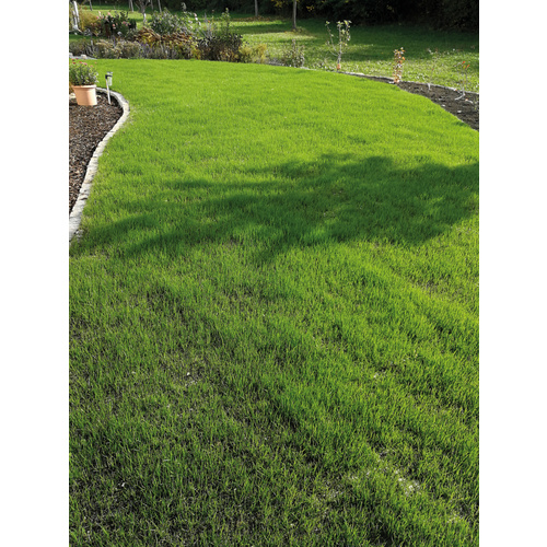 Thumbnail - easygreen Rasen »Easygreen Trockenrasen 12 m2«, 4