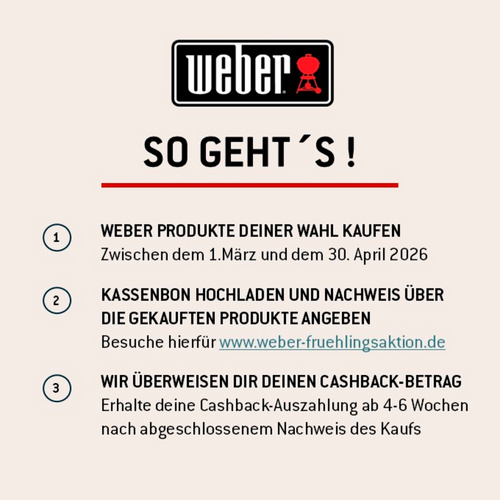 Weber Gasgrill "Slate GP43 Premium Plancha" BxTxH: 60x58x25 cm