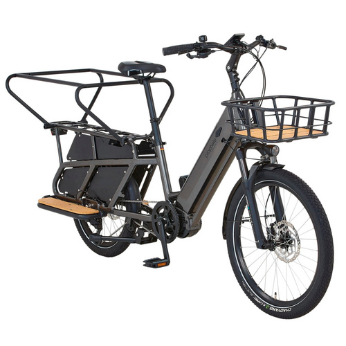 Image of PROPHETE E-Bike Urbanrad »Urbanicer 4.0«, 24 Zoll, RH: 36 cm, 9 Gänge - grau