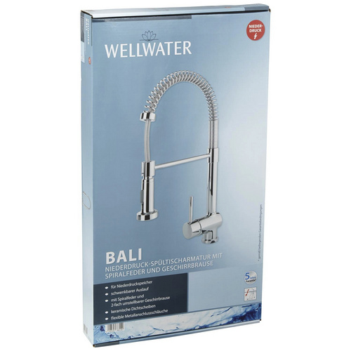 WELLWATER Spültischarmatur »BALI«, Messing, glänzend, ⅜