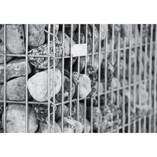 BELLISSA Spiralgabione, BxHxL: 50 x 50 x...