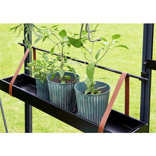 JULIANA Regal, LxBxH: 76 x 14,5 x 5,6 cm...