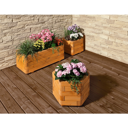 Thumbnail - Mr. GARDENER Blumenkasten, BxH: 40 x 35 cm, pinienfarben, Holz - beige