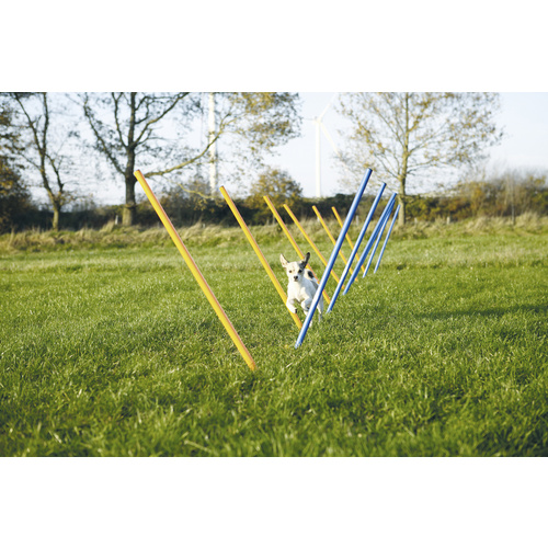 TRIXIE Agility Ausrüstung, Agility Slalom Stangen, 12 Stück, 115 x 3 cm - bunt