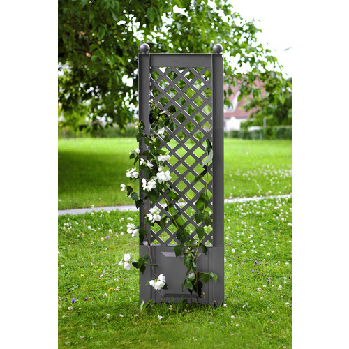 Khw Grau Rankgitter Mit Erdspieß Bxtxh: 43X6x140 Cm von Baur - Image 3