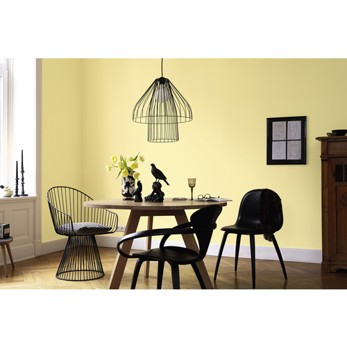 Thumbnail - ALPINA Dispersionsfarbe »Feine Farben«, edelmatt, 2,5 l - gelb