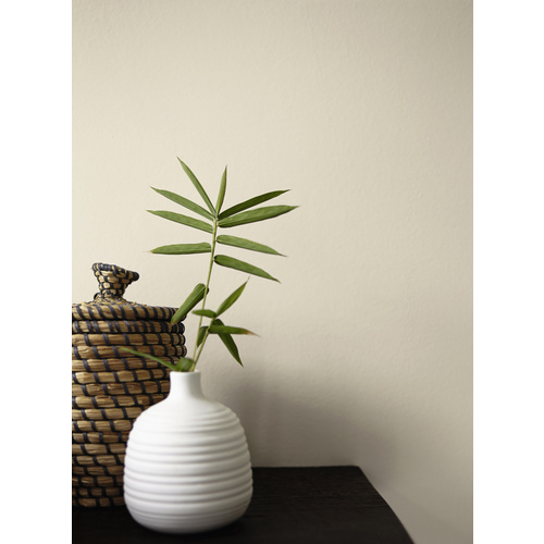 Thumbnail - ALPINA Dispersionsfarbe »Feine Farben«, edelmatt, 2,5 l - beige