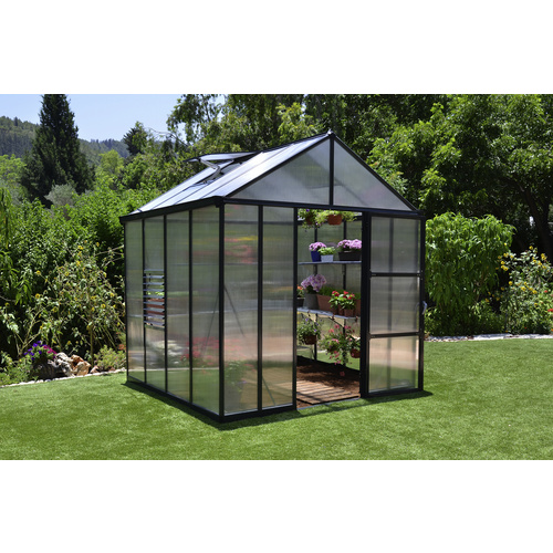 Palram Gewächshaus Glory 8X8 244,5 x 244,5 x 268,5 cm