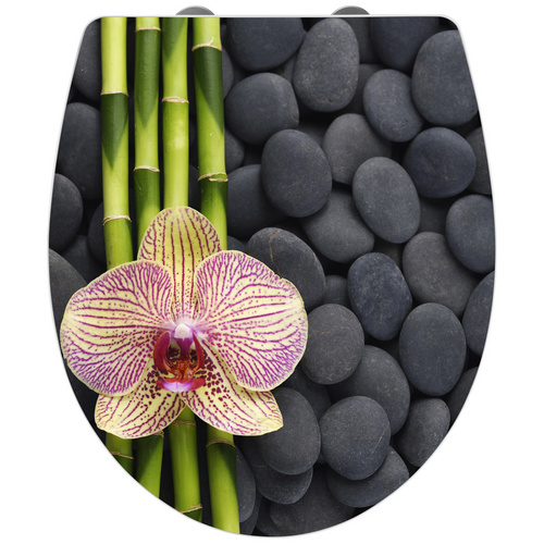 Wenko WC-Sitz Hochglanz Acryl Absenkautomatik Spa