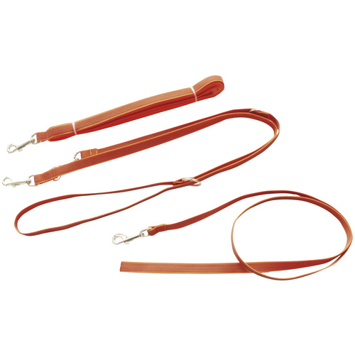 Thumbnail - HEIM Hundeleine, Modern Art, 10m, Gurtband, Orange