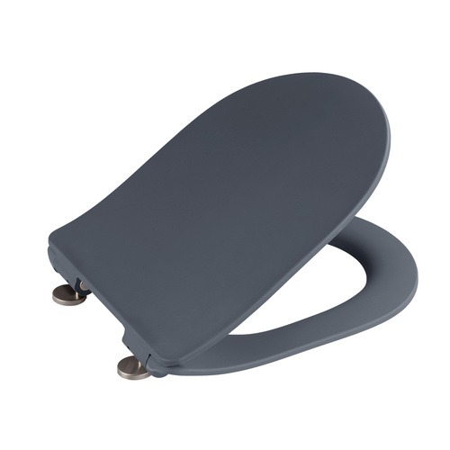 Wenko Premium WC-Sitz Sedilo Duroplast mit Absenkautomatik Grau Matt