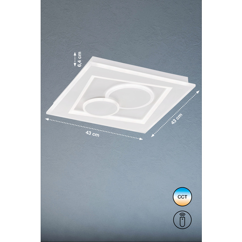 Fischer & Honsel Deckenleuchte »Ratio«, Metall, 44 W - weiss