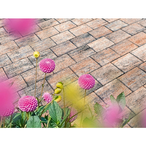Thumbnail - Mr. GARDENER Pflasterstein, Beton, Muschelkalk, LxBxS: 20 x 15 x 5 cm - weiss