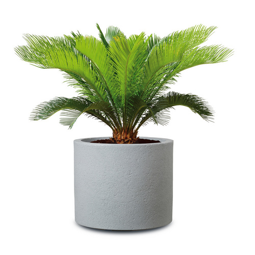 Thumbnail - Pflanzgefäß »Roma«, 30 x 24,3 cm (ØxH), Kunststoff, steingrau