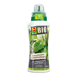 sonnenblumen saatgut bio BIO-Saatgut Sonnenblume